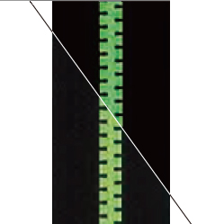 LUMIFINE_Yellow_v.jpg
